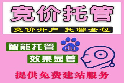 行业领先企业如何通过SEM运营托管实现转化率翻倍